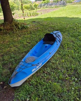Kayak