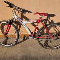 Bici Mountain bike