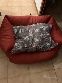 Cuccia