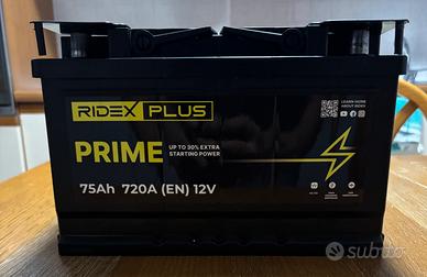 Batteria auto ridex