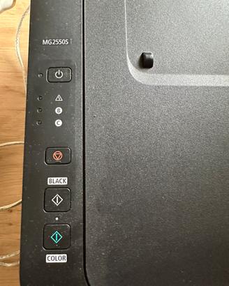 Canon Pixma MG2550S