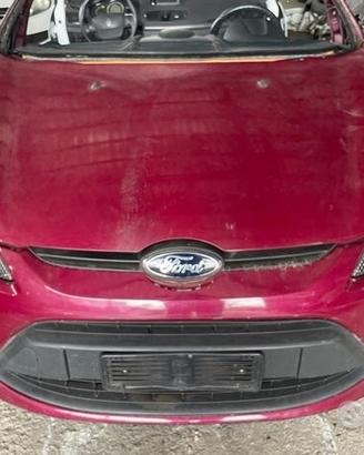 Ricambi Ford Fiesta Motore