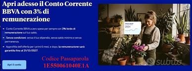Codice Passaparola C/C BBVA:   1E53006103F7CC