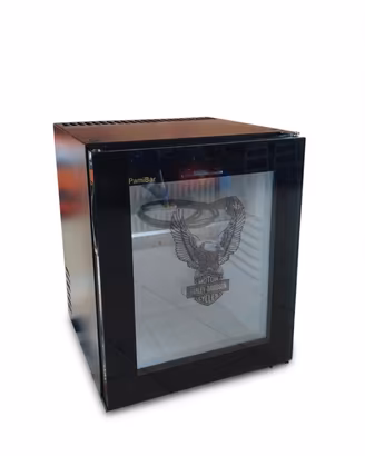 Mini frigo