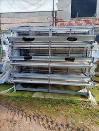 Gabia Ovaiolo  24 posti  per galine completo ! 