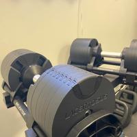 Manubri regolabili Lacertosus Selektor 2-32 kg