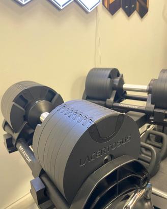 Manubri regolabili Lacertosus Selektor 2-32 kg