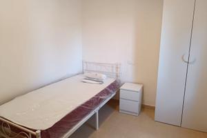 Camere urbino