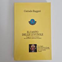 Il canto delle lucciole