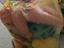 Immagine 1
