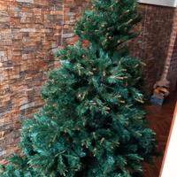 Albero di natale
