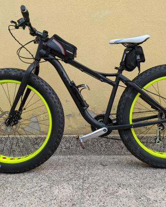 fat bike