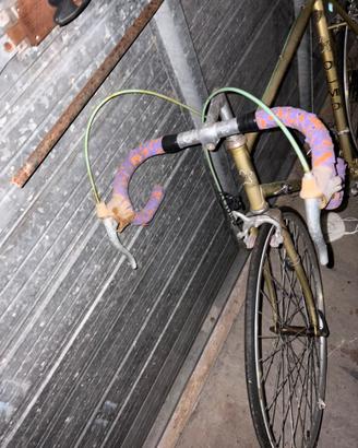 Bici olmo