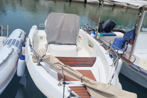 Barca a motore Saver 4.95