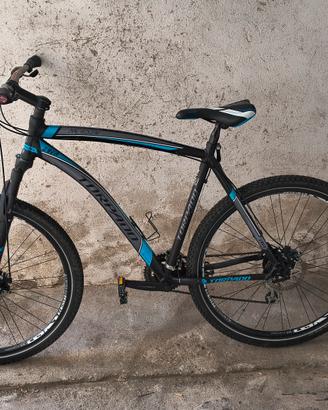 MTB uomo 29"