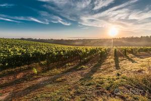 Terreno a Canosa di Puglia - Zona Bagnoli
