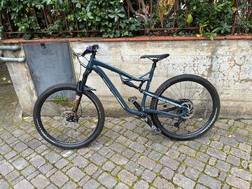 Rockrider 50s all mountain