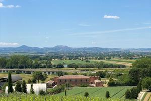 Vigneto e casale in Val di Chiana