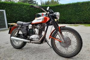 Ducati scambler vintage 350 cc 1969