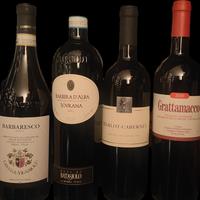 Barbaresco Barbera Merlot Cabernet e Grattamacco