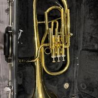 Flicorno contralto mib