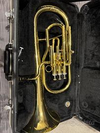 Flicorno contralto mib