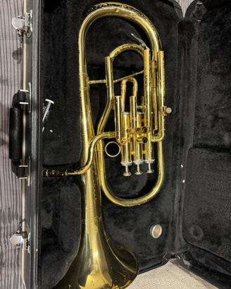 Flicorno contralto mib