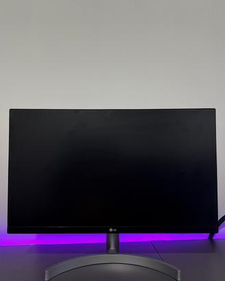 Monitor LG (Modello LG24ML600DS)