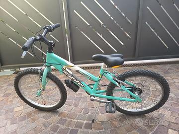 Bicicletta 20 pollici