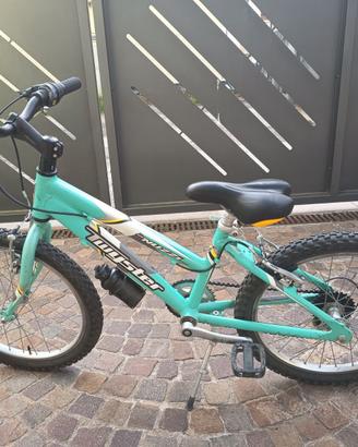Bicicletta 20 pollici