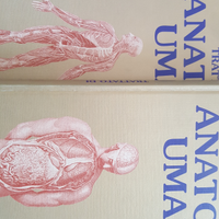 Trattato di Anatomia Umana