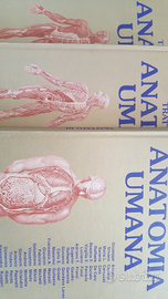 Trattato di Anatomia Umana