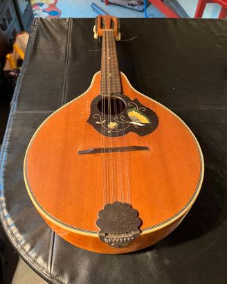 Mandolino Otwin vintage
