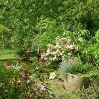 Progettista in permacultura