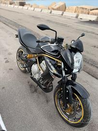 Kawasaki Er 6