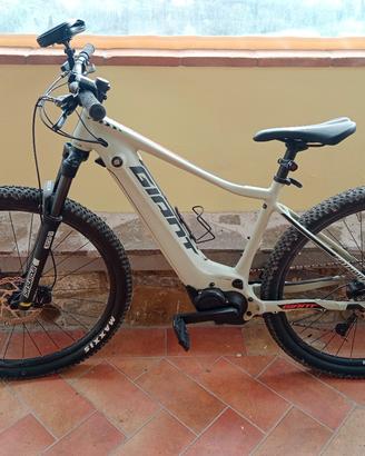 mountain bike elettrica
