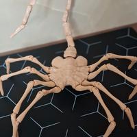 ALIEN FACEHUGGER STAMPA 3D