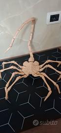 ALIEN FACEHUGGER STAMPA 3D