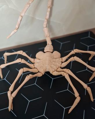 ALIEN FACEHUGGER STAMPA 3D
