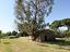 Immagine 26