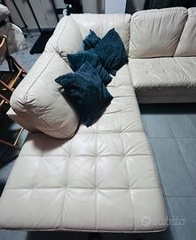Divano in pelle  Natuzzi