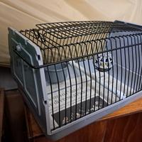 trasportino piccoli animali