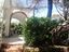 Immagine 12