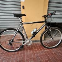 Bicicletta Mountain bike