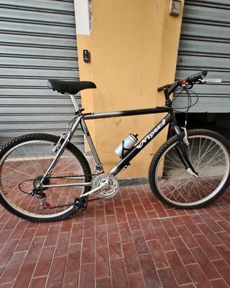 Bicicletta Mountain bike