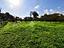 Immagine 26