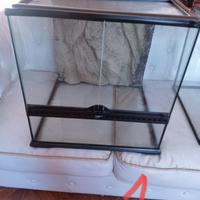 terrario varie dimensioni 