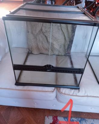 terrario varie dimensioni 