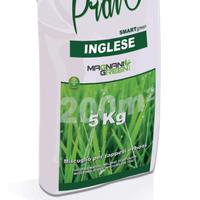 Miscuglio per tappeto erboso 5kg