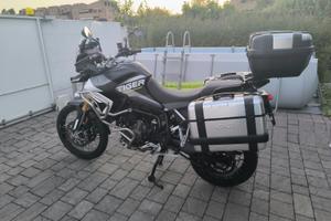 Triumph Tiger 900 Rally Aragón Edition